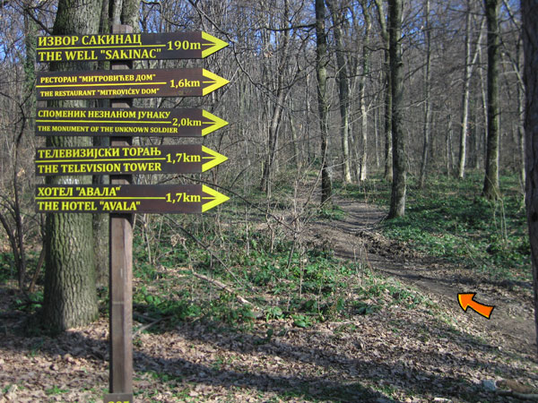 Avala za početnike