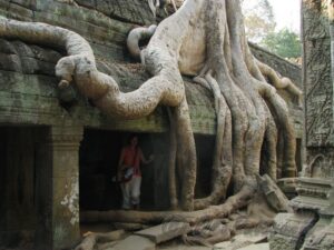 Angkor hramovi u dzungli