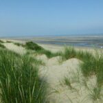 Belgija – Severno more